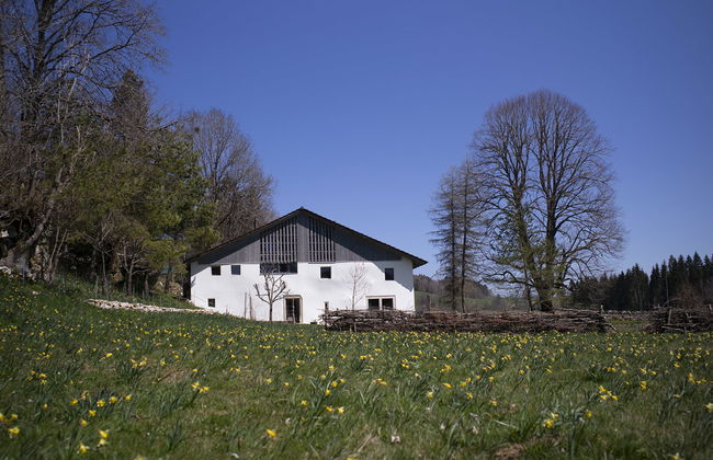 Appartement - N°5 - Foto 15