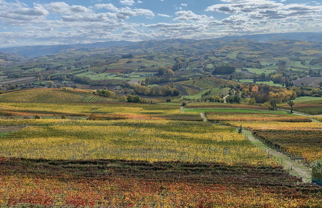 Villa Loreto - Foto 37