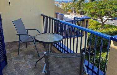 Meloneras ideal - Foto 33