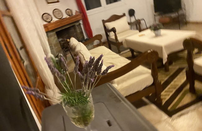 Cosy Calm Cottage in Olive Trees With sea View - Foto 20