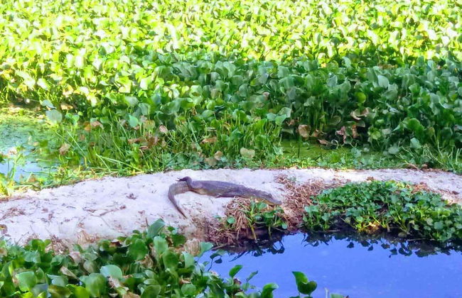 Prainha Hike & Grumari Day Trip - Photo 5