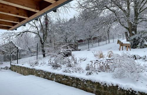 Ferienhof"WaldEsel Rippersroda" - Foto 35