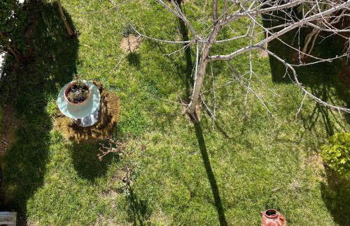 Nemeapolis 3 apt - Foto 33