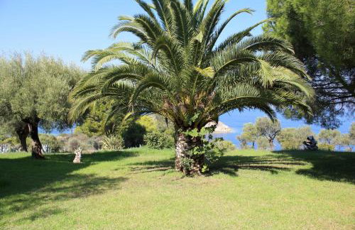 Aspro Spiti 2 - Foto 23