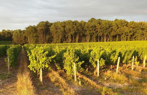 Spatieux, confort, reposant, gd jardin bucolique, jeux, balades, zoo, châteaux - Foto 1