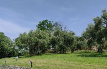 Poggio di Pastrengo - Photo 15