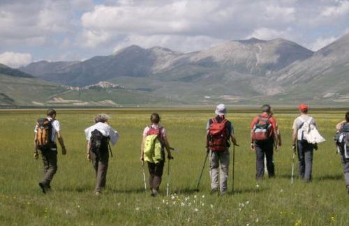Agriturismo Al Respiro Nel Bosco - Foto 21