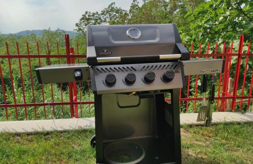 Oasi del Monferrato - appartamento verde - Foto 8