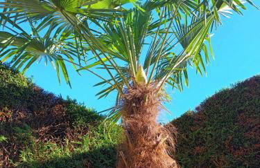 Apartament Nadine - Foto 17