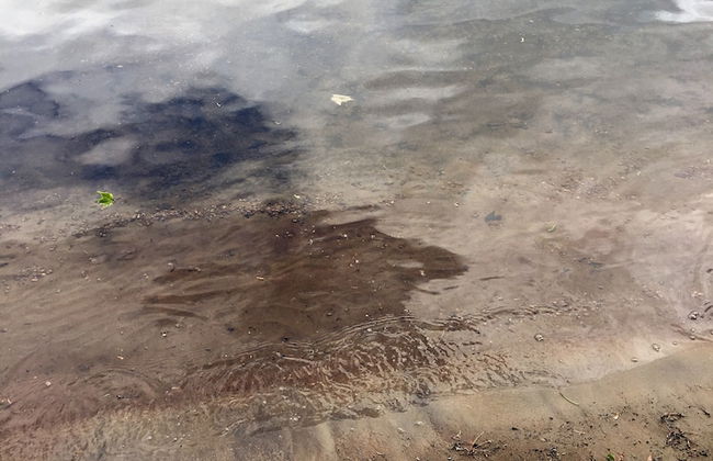 TO Stays - Waterfront Lake House Retreat - Photo 20