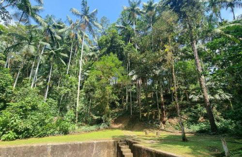 Natureza Instagrmável Casa Penedo - Photo 21