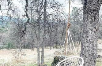 Yosemite Boho Bungalow, Pet Friendly & Mtn Views! - Foto 16