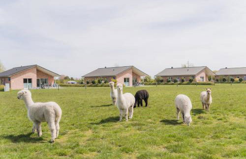 Büdlfarm - Der Familien-Erlebnishof in Strandnähe - Foto 1