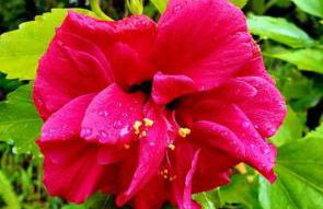 Unique Lava House by steaming crater - Photo 48