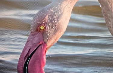 Exclusivo Chalet a Pie de Costa - Foto 71