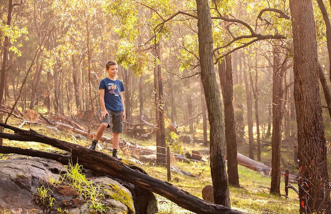 Evedon Park Bush Retreat - Foto 30