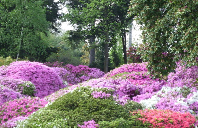 Azalea & Glicine House - Foto 64