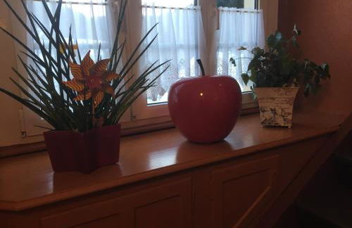 Haus Silberdistel - Foto 72