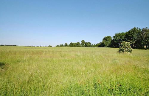 Wohnung in Zahrensdorf bei Drei Seen - Foto 15