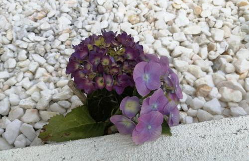 A Casa Do Viso Do Chirin - Foto 20