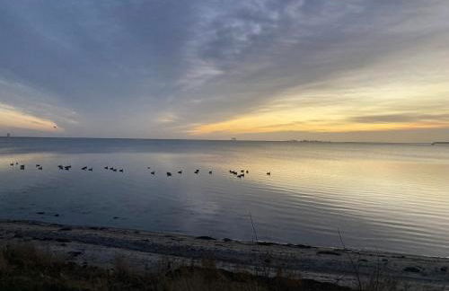 Ferienwohnungen Kapitänskajüte & Ausguck - Foto 28