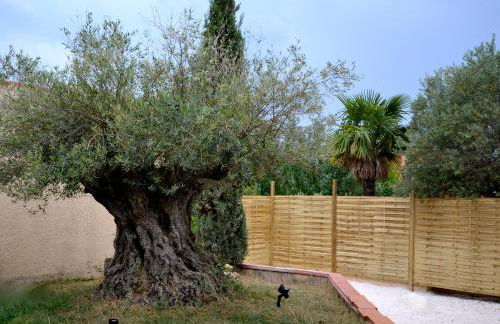 La Cigaliere en Cote Vermeille - Foto 20