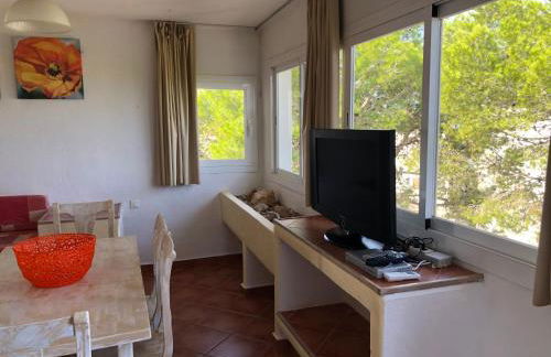 ED REXII ático - Foto 12