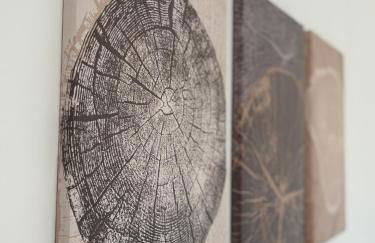 La collina dei venti - Foto 11