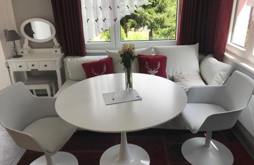 Ferienapartments Gohrisch Villa Schönblick - Foto 41