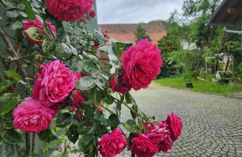 Familienfreundlich im Naturpark Haßberge mit gehobener Gastronomie - Foto 3