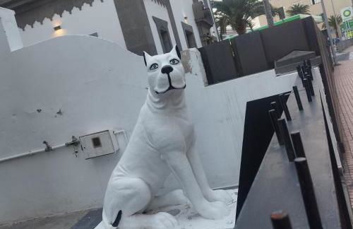 SABINAR Vivienda Estudio - Foto 23