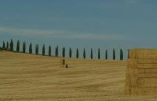 La Casa del susino - Foto 22