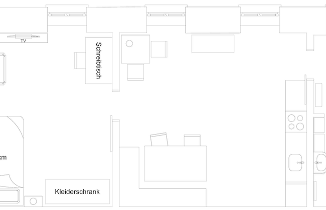 Blue Palm - Photo 20