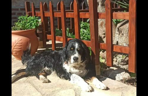 Mozart House Studio - Foto 22