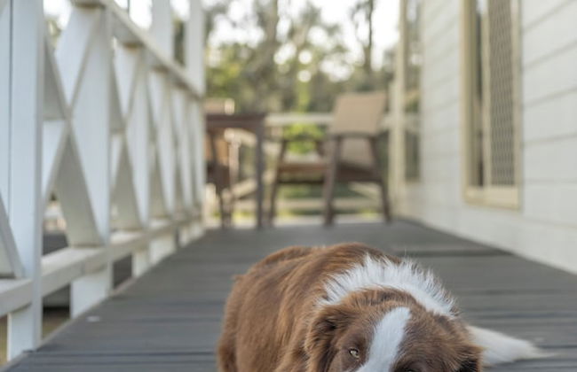 Barlings Beach Holiday Park - Foto 54