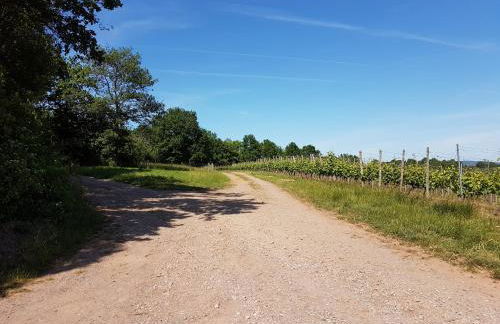 Familie Jonas - Foto 32