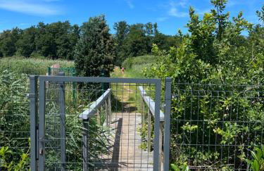 Oaza Chlopy - Foto 6