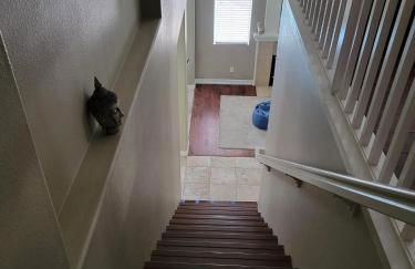 2BD Modern House with heated pool in North Vegas - Foto 13