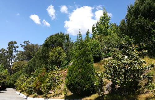 Quinta de S. Vicente 317 - Foto 63