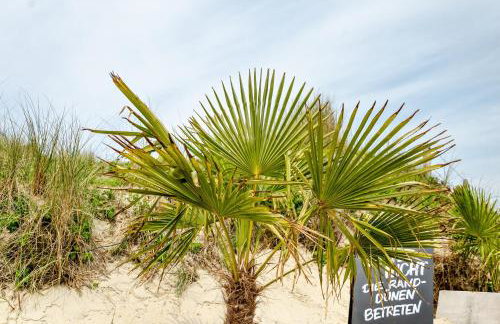 Strandhus Uiterst-hörn Treibholz - Photo 25