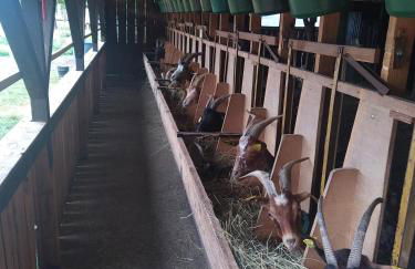 eco nature, gite à la ferme - Foto 14