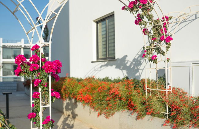 Superfresh Penthouse Studio Apartment With sea View - Photo 32