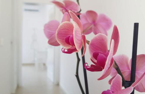 Katy's Luxury Apartments - Photo 11