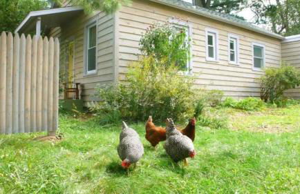Cozy Cottage on a Private Farm Nestled Among the Southern Catskill Mountains in Woodridge, New York - Foto 30
