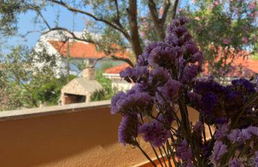 Apartments Ivana - Foto 77