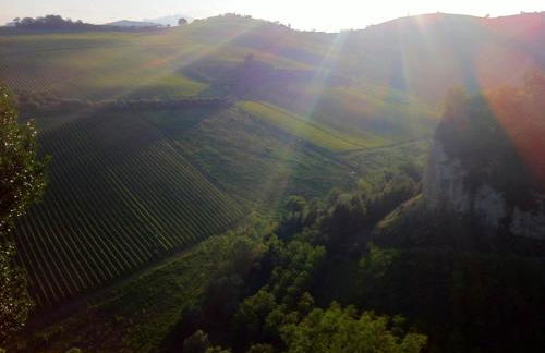 Agriturismo Casa Rosa - Foto 23