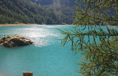 Residence Garnì Il Giglio - Photo 54