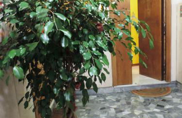 Sinfonia di Napoli - Foto 6