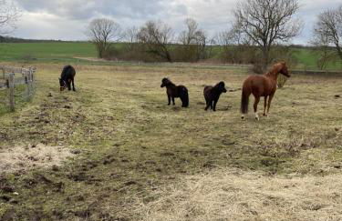 Neu möbliertes 1 - Zimmerapartment mitten in der Natur - Foto 10