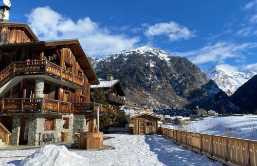 Chalet des Trappeurs Coeur Vanoise 15 persons - Foto 1